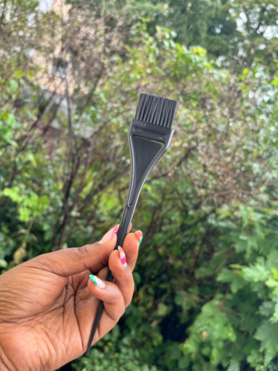 Hair Dye Brush