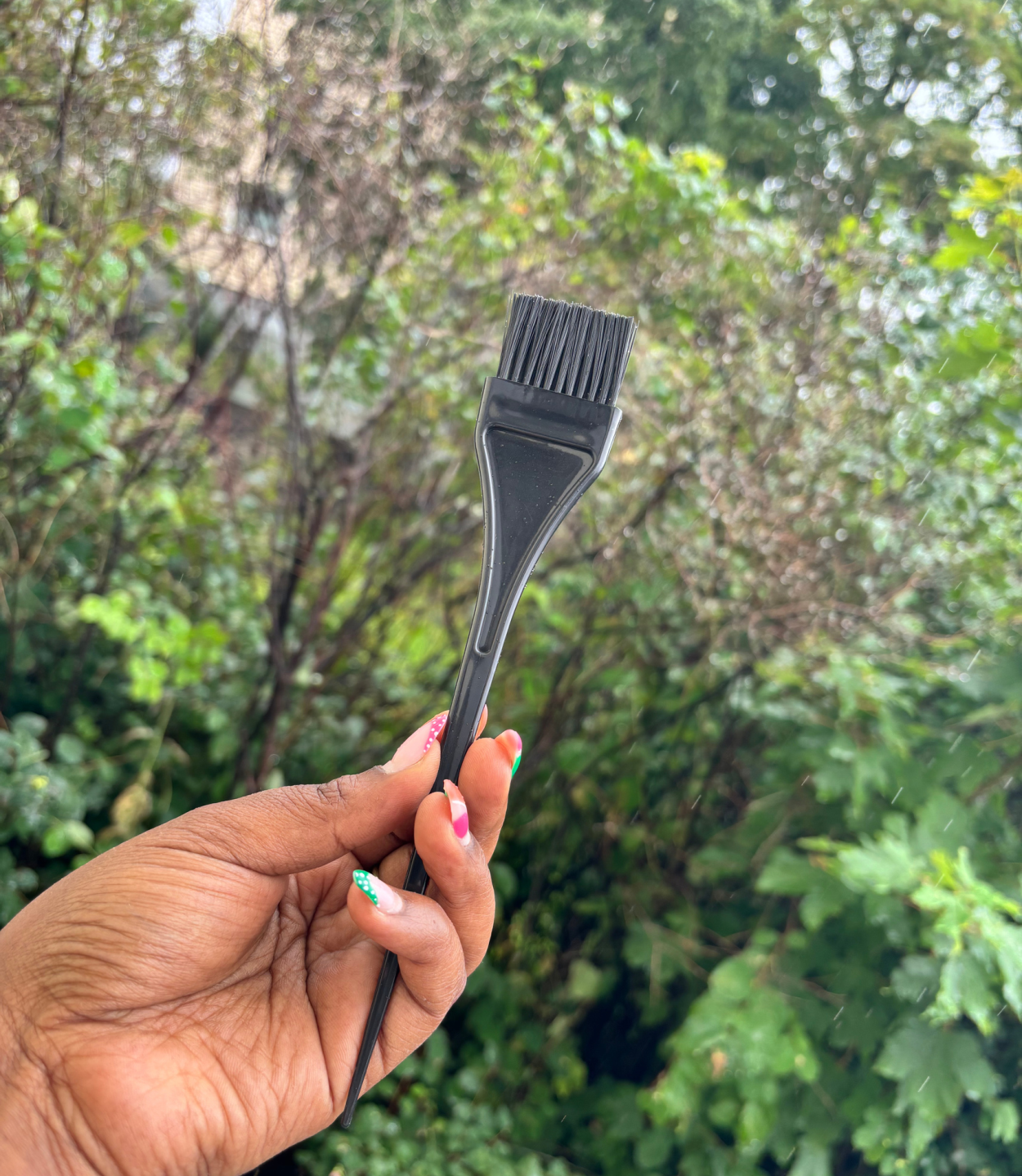 Hair Dye Brush